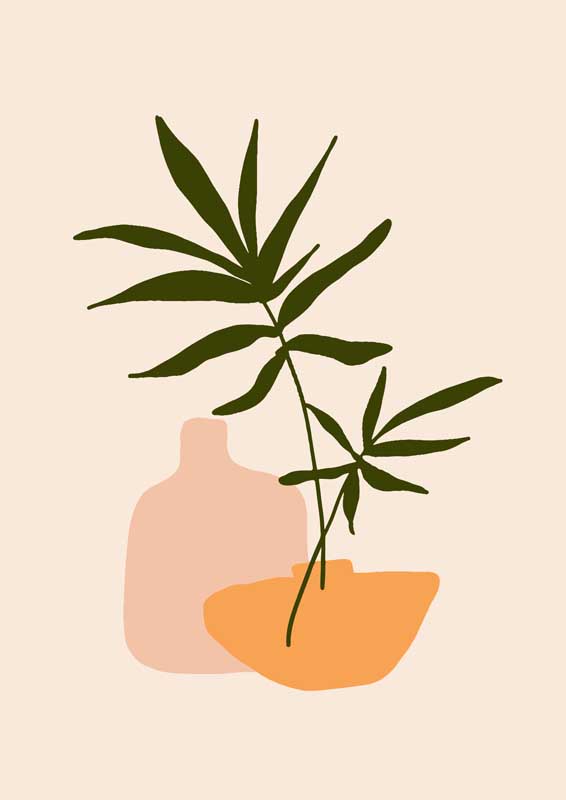 撕开小内内植入